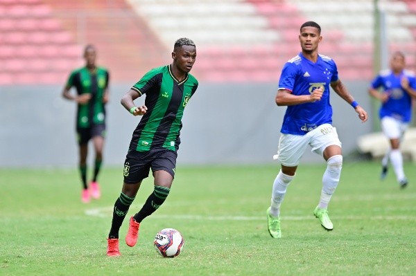 Mourão Panda Mourão Panda