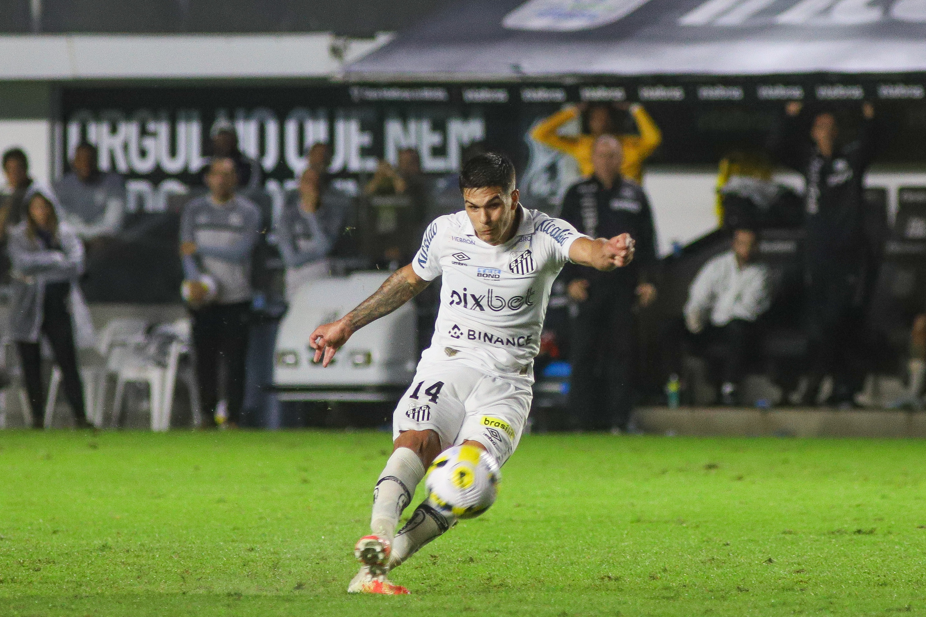 Foto: Fernanda Luz/AGIF