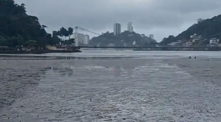 Foto: Reprodução/Pedro Luiz/TikTok