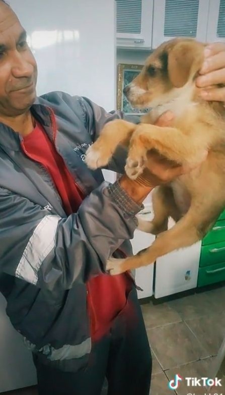 Momento rendeu milhares de views na rede social - Foto: TikTok Momento rendeu milhares de views na rede social - Foto: TikTok