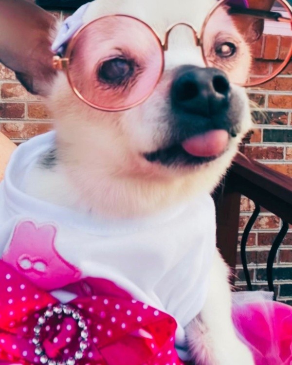 Pebbles tinha 22 anos - Foto: Instagram @pebbles_since_2000