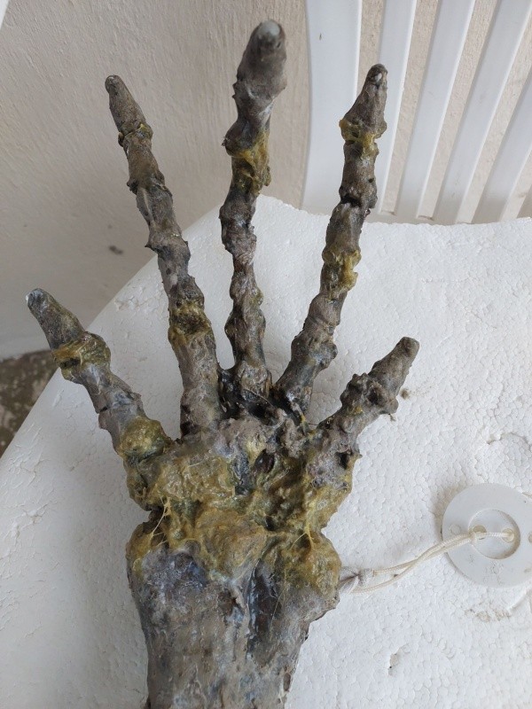 Iamgem: Reprodução/FacebookLeticia Gomes Santiago.