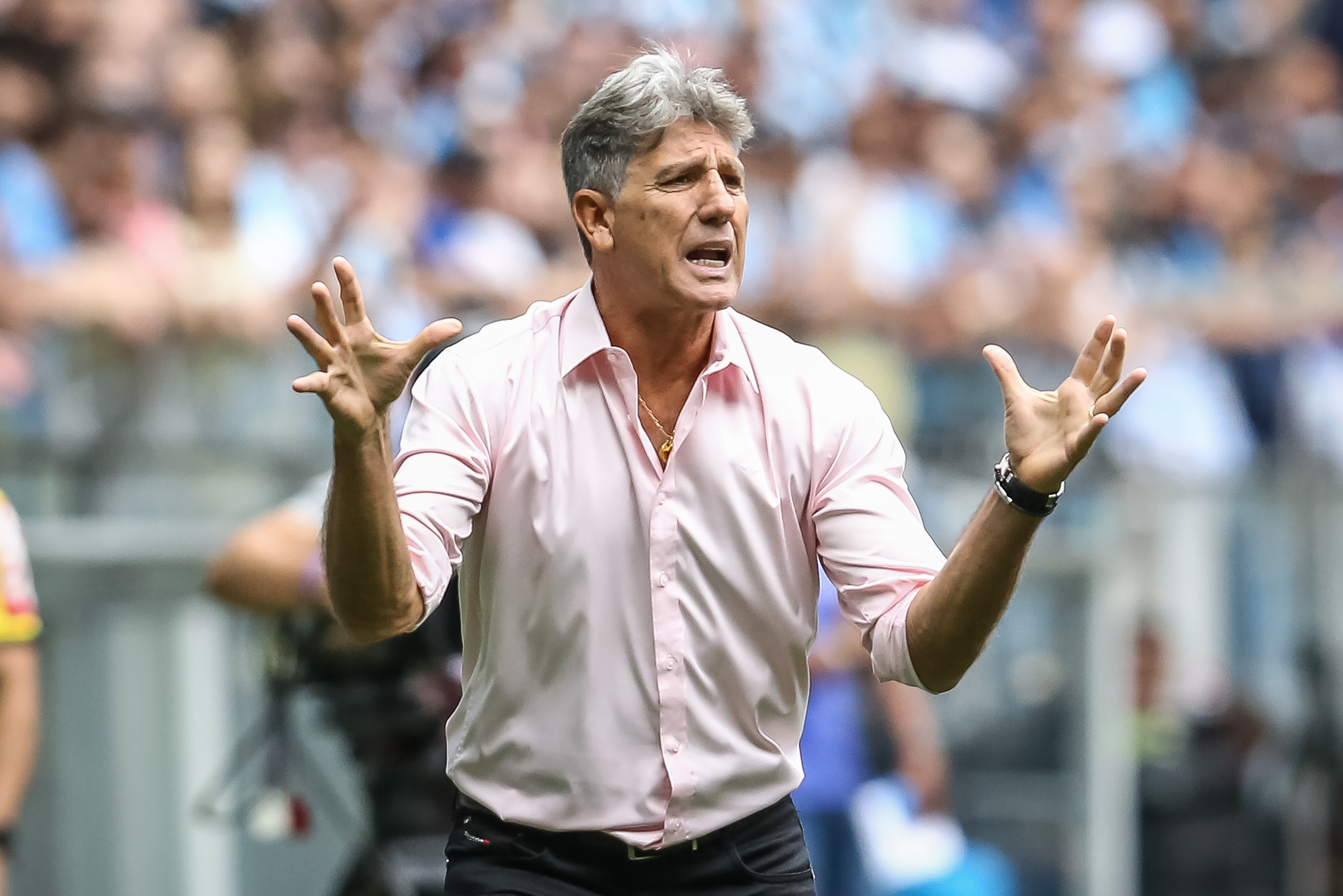 Foto: Pedro H. Tesch/AGIF – Renato Portaluppi