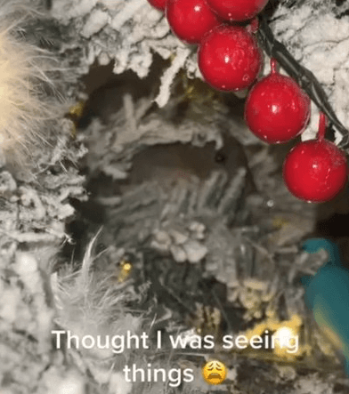 Vídeo viralizou no Tik Tok e dividiu opiniões na rede (Reprodução/Tik Tok) Vídeo viralizou no Tik Tok e dividiu opiniões na rede (Reprodução/Tik Tok)