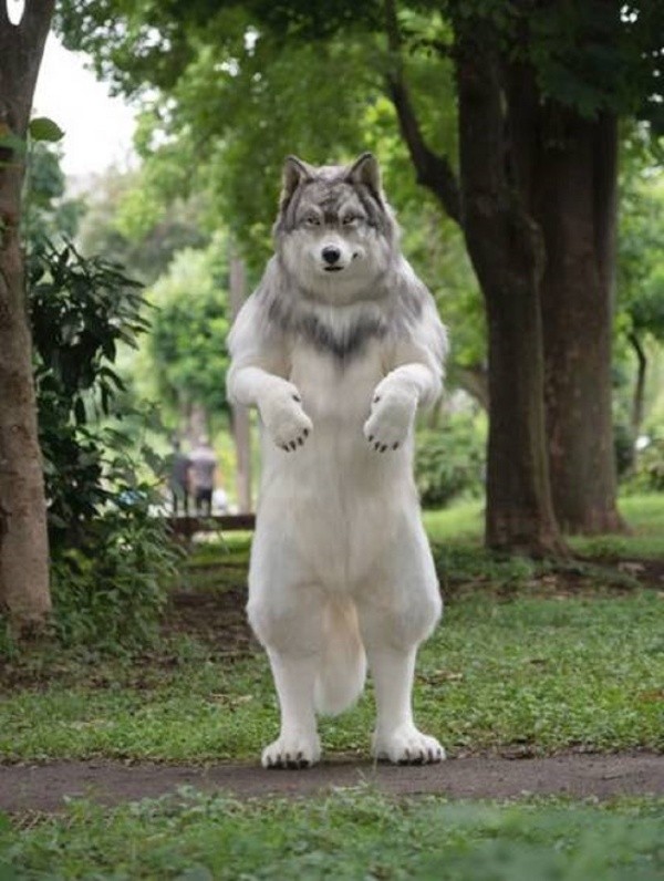 Detalhes realistas da roupa chamaram a atenção - Foto: www.zeppet.com Detalhes realistas da roupa chamaram a atenção - Foto: www.zeppet.com