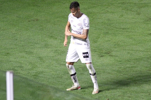 Foto: Fernanda Luz/AGIF