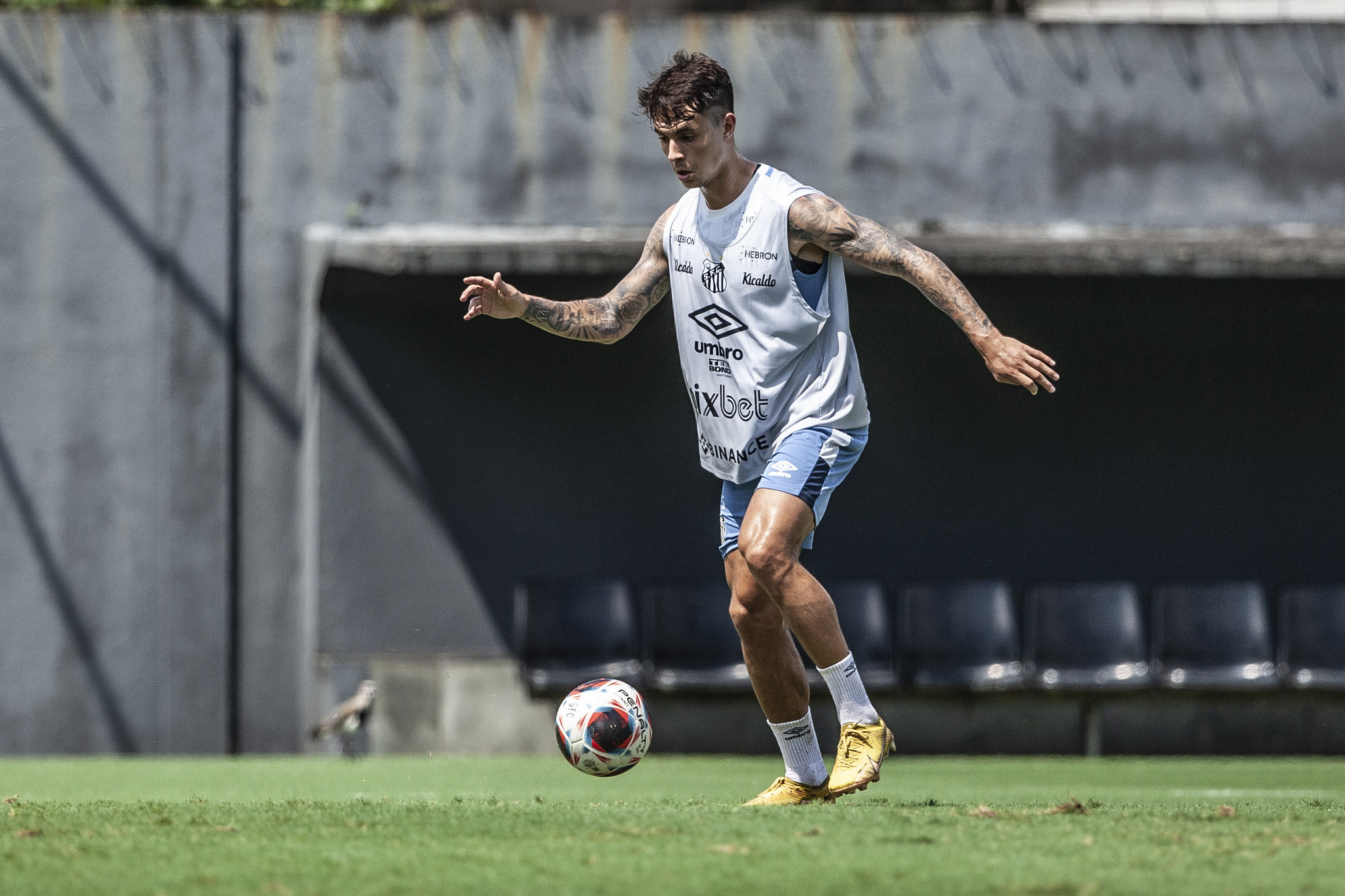Foto: (Raul Baretta/ Santos FC) - Zanocelo deve continuar treinando no Santos até decidir seu futuro