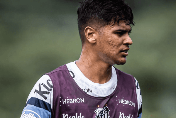 Foto: Raul Baretta/ Santos FC