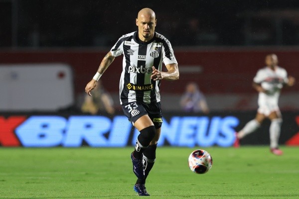 Foto: Marcello Zambrana/AGIF – Grupo do Santos na Sul-Americana